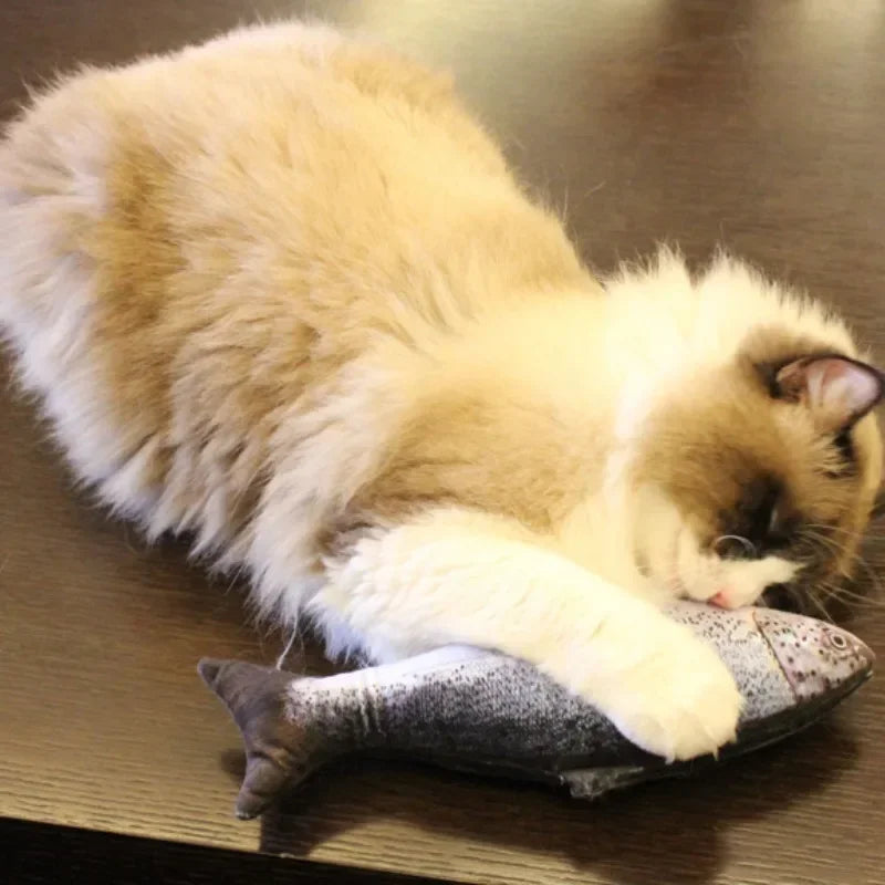 Interactive Fish Catnip Cat Toy – Fun Guaranteed