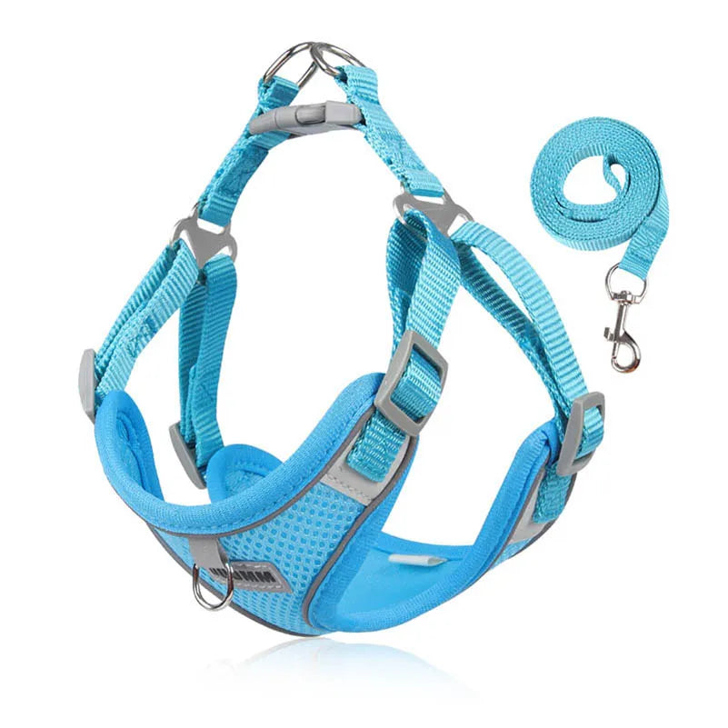 Dog Harness with Leash and Harness Set - Comfortable, Adjustable and Perfect for Small and Medium Dogs Like Chihuahua and Bulldog
