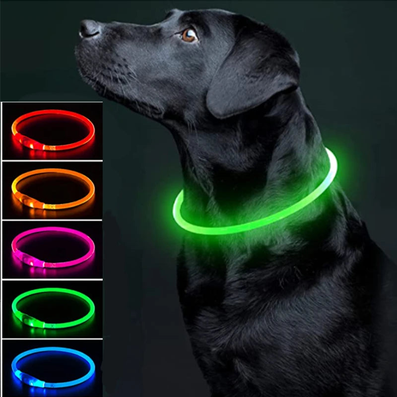 Collare LED Luminoso per Cani e Gatti – Ricaricabile USB e Sicuro per la Notte