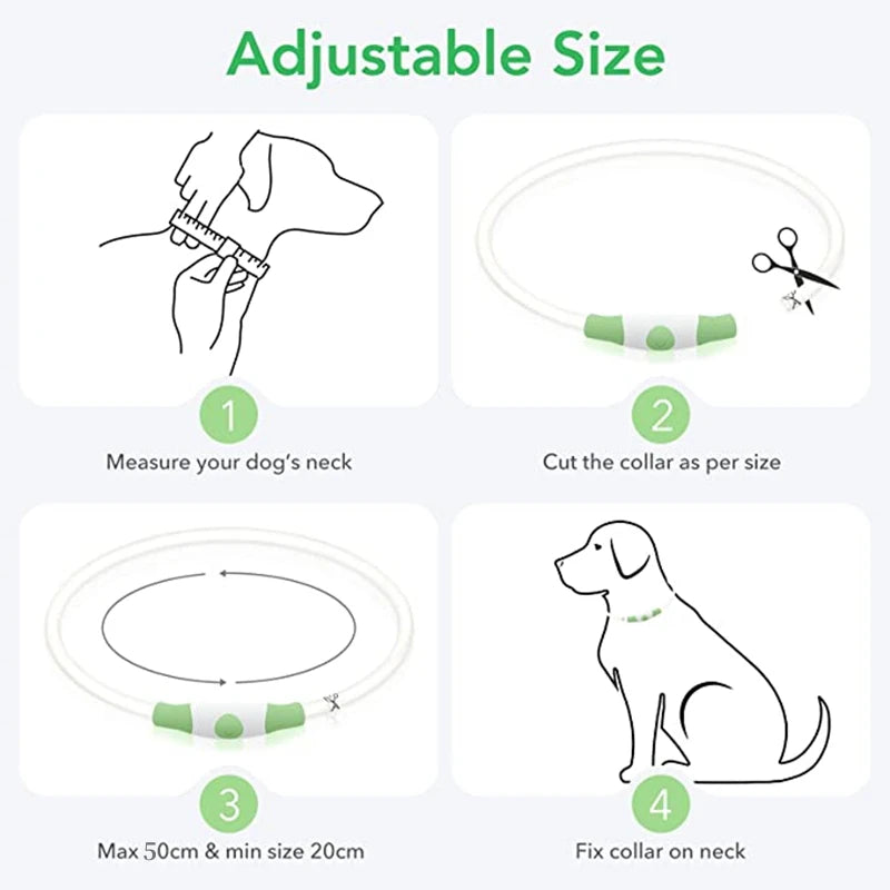 Collare LED Luminoso per Cani e Gatti – Ricaricabile USB e Sicuro per la Notte
