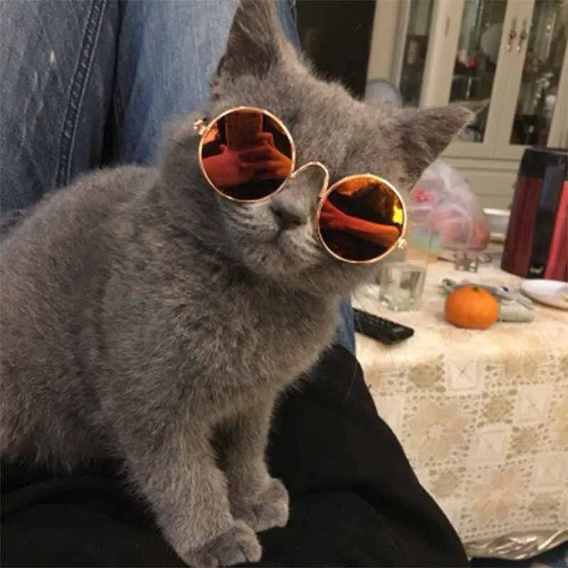 Occhiali da Sole per Gatti e Cani – Accessori Fashion e Divertenti per Piccoli Animali, Perfetti per Foto