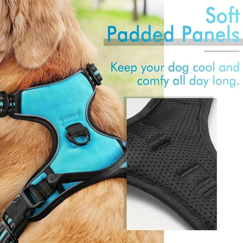 Dog Harness – With 2 Leash Clips, Adjustable and Comfortable, For Safe and Controlled Walking – Black