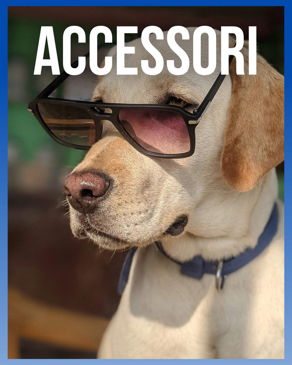 Accessori