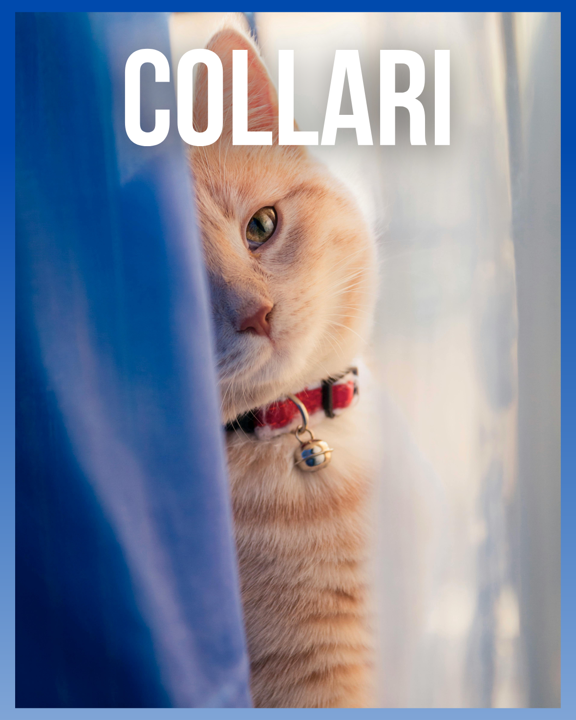 Collari
