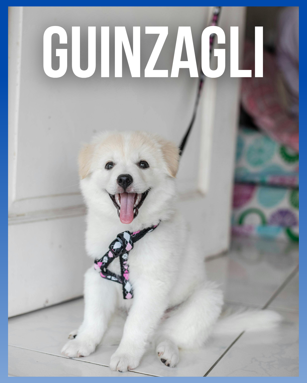 Guinzagli
