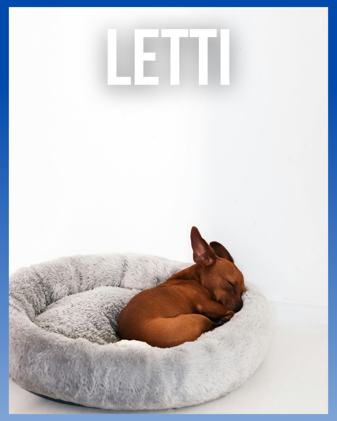 Letti