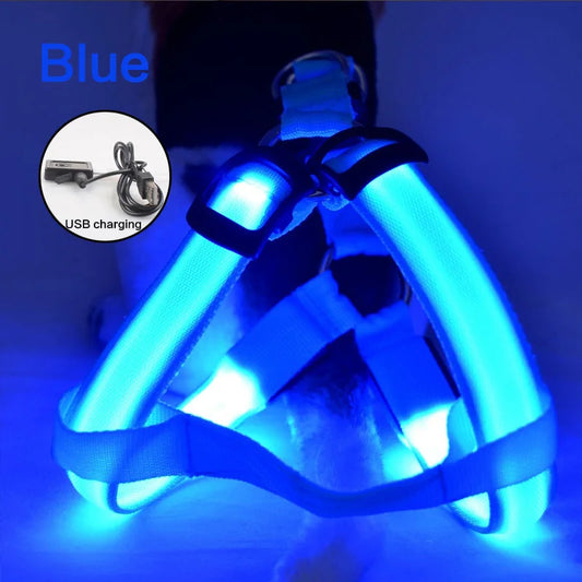 Imbracatura per Cani Luminosa Ricaricabile USB – Sicurezza Notturna con LED Antipull