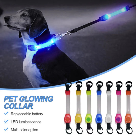 Collare e Guinzaglio LED Luminoso per Cani – Sicurezza e Visibilità con Protezione Antismarrimento!