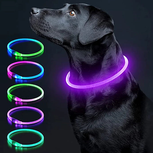 Collare LED Luminoso per Cani e Gatti – Ricaricabile USB e Sicuro per la Notte