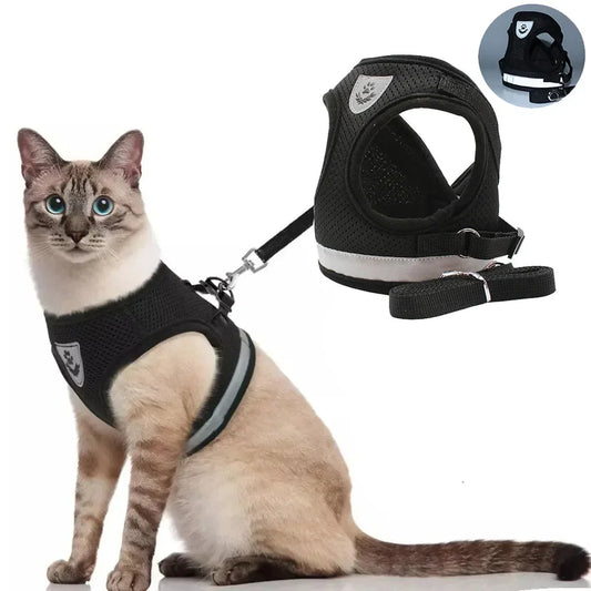 Imbracatura per Gatti e Cani – Regolabile, Riflettente e Antifuga per Passeggiate Sicure