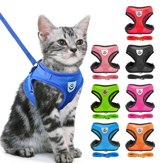 Imbracatura e Guinzaglio per Gatti e Cani – Collare Regolabile, Sistema Anti-Evasione per Passeggiate Sicure e Confortevoli