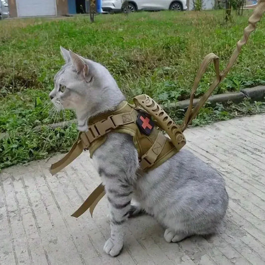 Gilet Impermeabile per Gatti – Passeggiate Sicure con Vestito Regolabile e Comodo