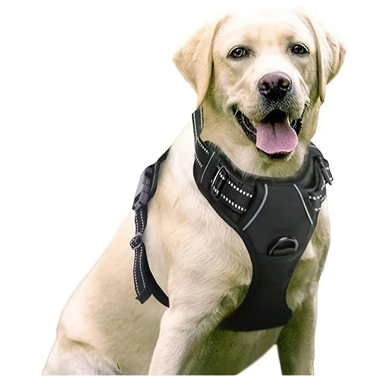 Imbracatura per Cane – Con 2 Clip per Guinzaglio, Regolabile e Confortevole, Per una Camminata Sicura e Controllata – Nero