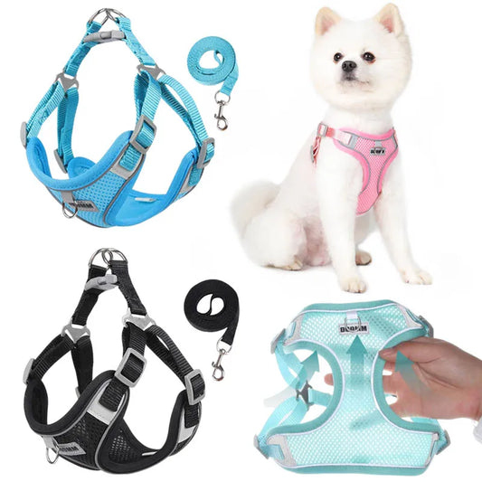 Imbracatura per Cani con Set Guinzaglio e Pettorina – Comoda, Regolabile e Perfetta per Cani di Taglia Piccola e Media come Chihuahua e Bulldog